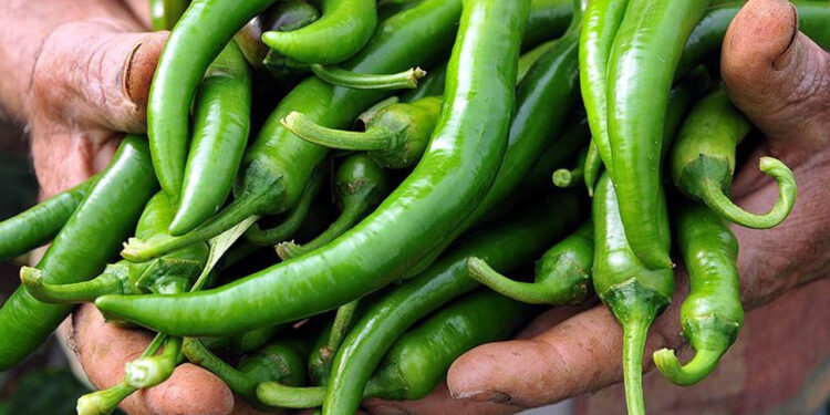 Bakanlıktan Biber Fiyatlarına Yakın Markaj: 1,8 Milyon Lira Ceza Kesildi