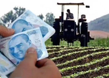 Çiftçiye Nefes Aldıracak Karar Resmi Gazete'de Yayımlandı: Gümrük Vergisi Sıfırlandı