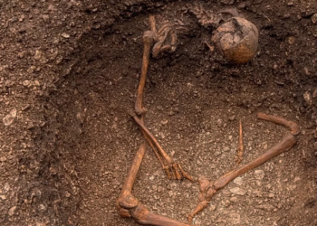 Fransa’da Şaşırtan Keşif: Antik Galyalılar Oturur Pozisyonda Gömülmüş