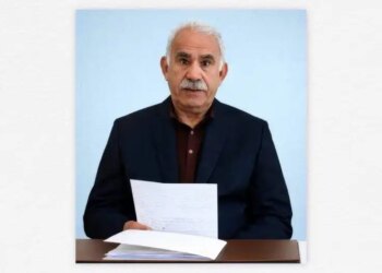 ‘İkinci aşamanın en önemli adımı İmralı’nın statüsüdür’