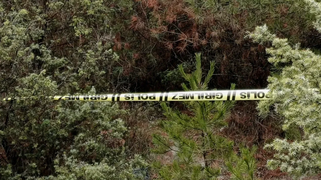 Ormanda Yürüyüşe Çıkan Gençler Dehşetle Karşılaştı!