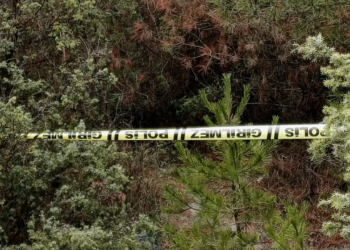 Ormanda Yürüyüşe Çıkan Gençler Dehşetle Karşılaştı!