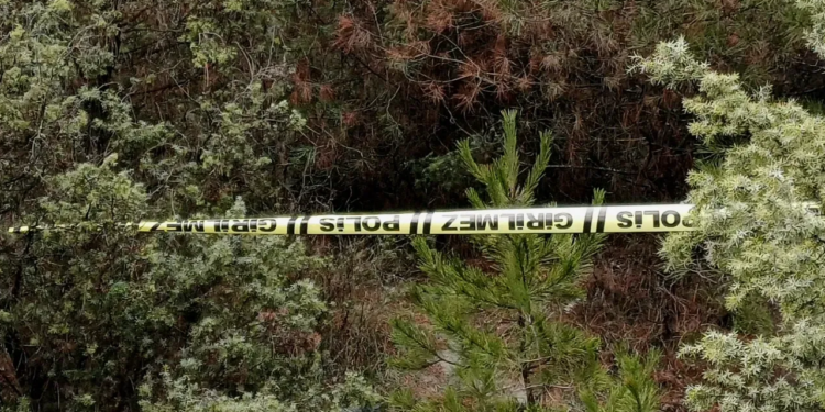 Ormanda Yürüyüşe Çıkan Gençler Dehşetle Karşılaştı!