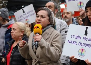 Çankaya Belediyesi önünde hayvan hakları savunucularına saldırı