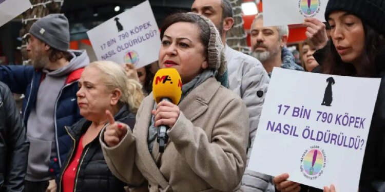 Çankaya Belediyesi önünde hayvan hakları savunucularına saldırı