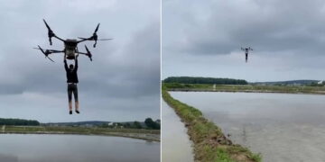 Çeltik tarlasında bir garip yolculuk: Drona asılıp uçtu