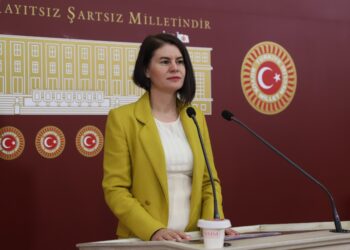 Meclis’te Newroz’a müdahale ve kayyım politikalarına tepki: Wan’ın sorunlarını gündeme taşıdı