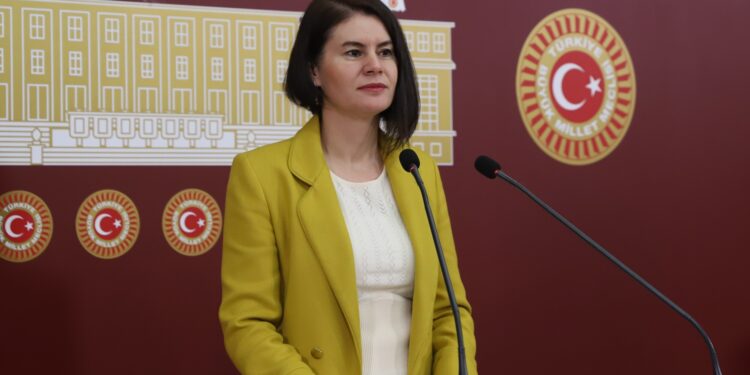 Meclis’te Newroz’a müdahale ve kayyım politikalarına tepki: Wan’ın sorunlarını gündeme taşıdı