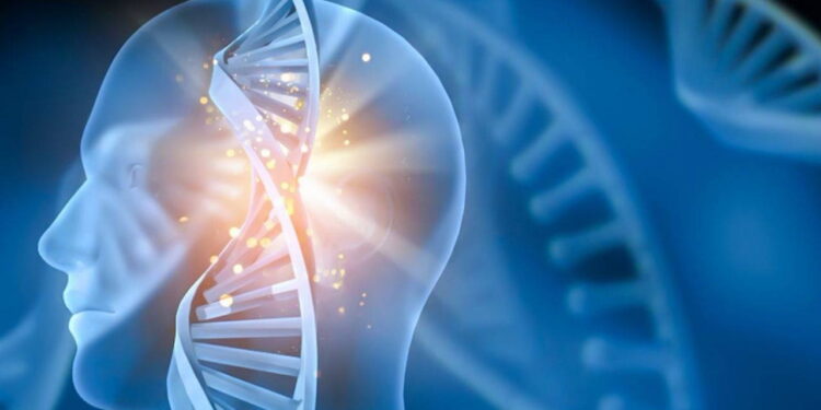 ALS hastalığı nedir? ALS hastalığı belirtileri neler? ALS hastalığı tedavisi…