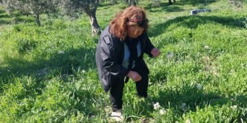 İlçenin yeni gelir kapısı: 2 dönümden 4 bin mahsul…