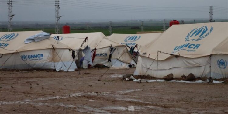 Dêrik Newroz Kampı’nı su bastı: 5 bin 896 kişi zor durumda