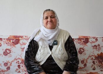 65 yıllık tanıklık: Newroz kültür ve direniştir