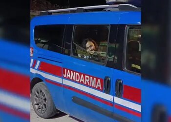 Akbelen direnişçisi Esra Işık tutuklandı