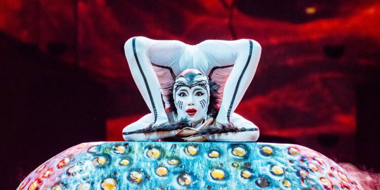 10 yıllık hasret bitiyor: Cirque du Soleil ‘OVO’ gösterisiyle İstanbul’da!
