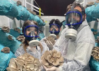 Genç avukat hobi olarak başladı, şimdi siparişlere yetişemiyor: Günde 1 ton hasat yapıyor…