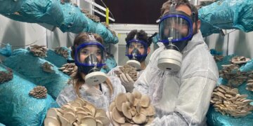 Genç avukat hobi olarak başladı, şimdi siparişlere yetişemiyor: Günde 1 ton hasat yapıyor…