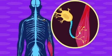 MIT’den tıp dünyasında çığır açan keşif: Beyin hastalıklarının teşhisi 25 kat hızlanıyor