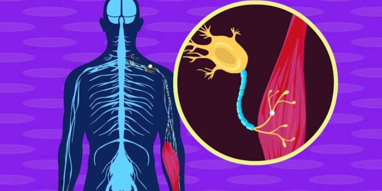 MIT’den tıp dünyasında çığır açan keşif: Beyin hastalıklarının teşhisi 25 kat hızlanıyor