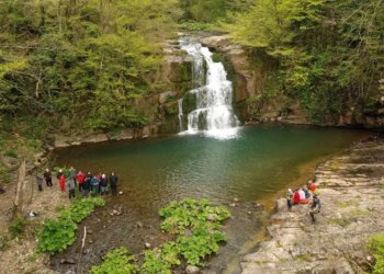 Bartın’da saklı bir hazine: Gölderesi Şelalesi ilkbahar rengiyle büyüledi! – Son Dakika Yaşam Haberleri