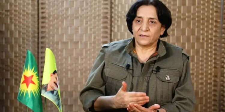 Sozdar Avesta: Sürecin başarıya ulaşması için gereken yasalar çıkarılmalı