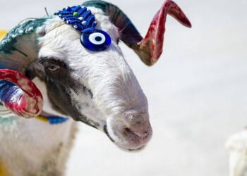 Kurban Bayramı ne zaman başlıyor? 2026 Kurban Bayramı tatili kaç gün?