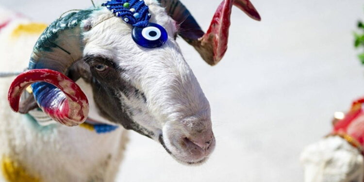 Kurban Bayramı ne zaman başlıyor? 2026 Kurban Bayramı tatili kaç gün?