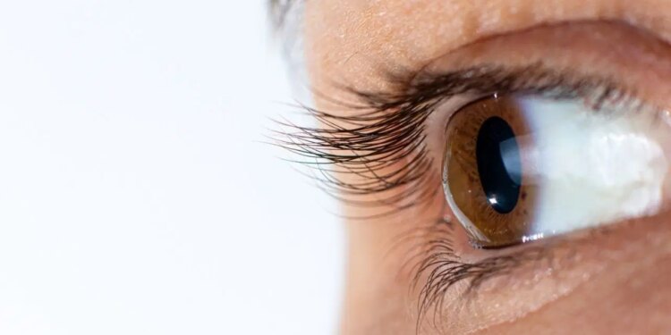 Tıp dünyasında yeni dönem: Yaklaşan ölümü haber veren ’24 saat’ testi