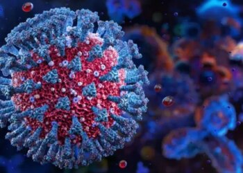 Uzmanlardan kritik uyarı: ‘Cicada’ çocukları hedef alıyor