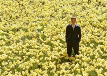 Kendi kaderini yazanlar: Varoluş hikayesiyle iz bırakan 5 film… – Son Dakika Kültür-Sanat Haberleri