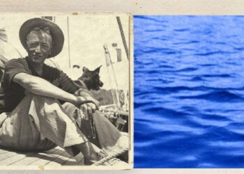 72. Sait Faik Hikâye Armağanı’nın kısa listesi açıklandı