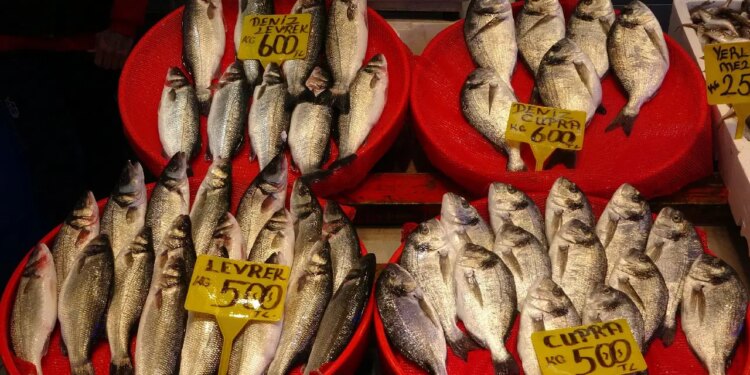 Ne istavrit ne hamsi: Tahtın yeni sahibi belli oldu! Kilosu 300 TL