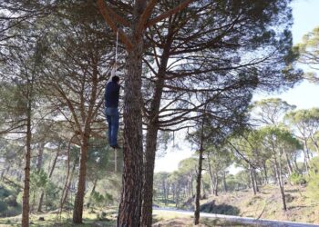 Aydın’da ölüme meydan okuyan hasat: Kilosu 3 bin lira!