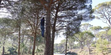 Aydın’da ölüme meydan okuyan hasat: Kilosu 3 bin lira!