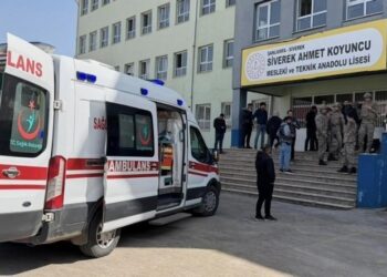 TTB MYK üyesi: Şiddet bir halk sağlığı sorunudur