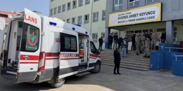 TTB MYK üyesi: Şiddet bir halk sağlığı sorunudur