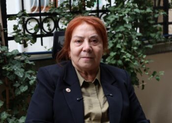 Devrimci Parti Genel Başkanı: Abdullah Öcalan ve siyasi tutsaklar tahliye edilmeli