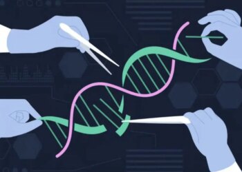 Biyolojide paradigma değişimi: Proteinler ‘şablon olmadan’ DNA üretebiliyor