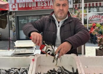 Tezgahlarda yeni devir: Hamsi, palamut yerini ona bıraktı! Kilosu 350 TL