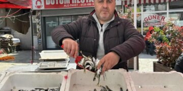 Tezgahlarda yeni devir: Hamsi, palamut yerini ona bıraktı! Kilosu 350 TL