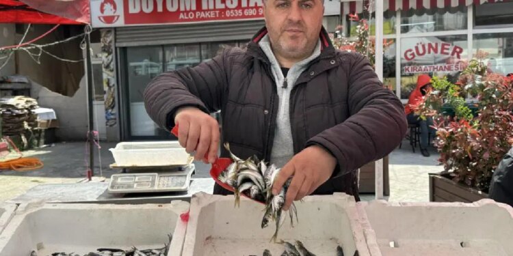 Tezgahlarda yeni devir: Hamsi, palamut yerini ona bıraktı! Kilosu 350 TL