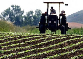 Çiftçinin Hesabına 19,5 Milyar TL Yatıyor: Bakan Yumaklı Saat Vererek Duyurdu