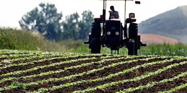 Çiftçinin Hesabına 19,5 Milyar TL Yatıyor: Bakan Yumaklı Saat Vererek Duyurdu