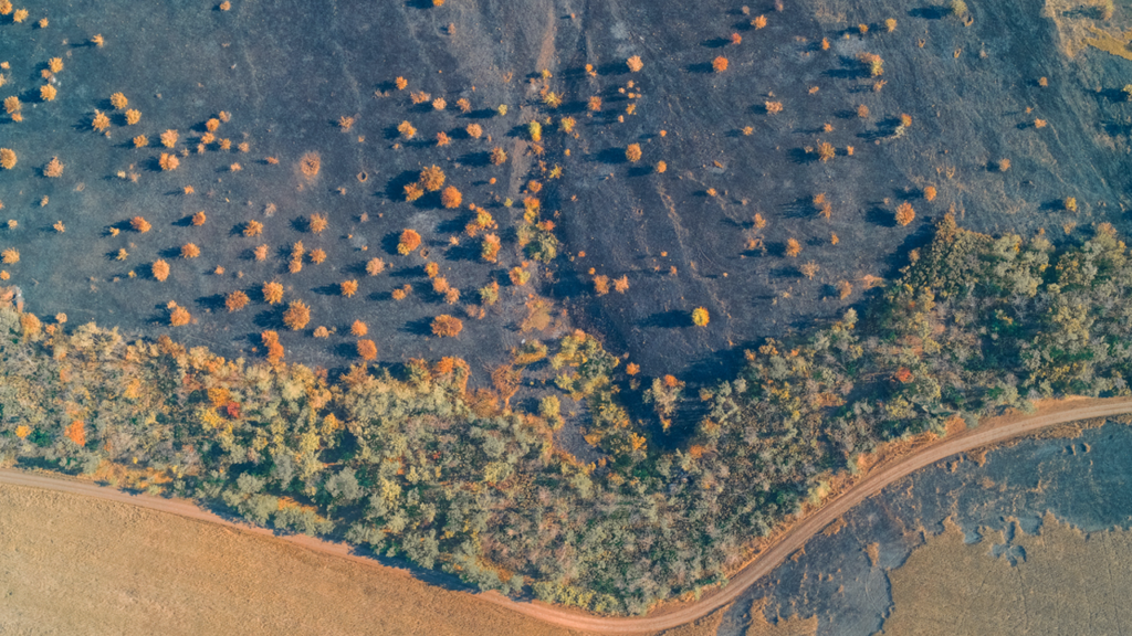 Dünya Meteoroloji Örgütü Uyardı: Sıcaklık Eşiği Aşıldı, 1 Milyar İnsan İçin Hayat Daralıyor