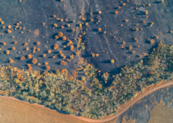 Dünya Meteoroloji Örgütü Uyardı: Sıcaklık Eşiği Aşıldı, 1 Milyar İnsan İçin Hayat Daralıyor