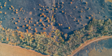 Dünya Meteoroloji Örgütü Uyardı: Sıcaklık Eşiği Aşıldı, 1 Milyar İnsan İçin Hayat Daralıyor