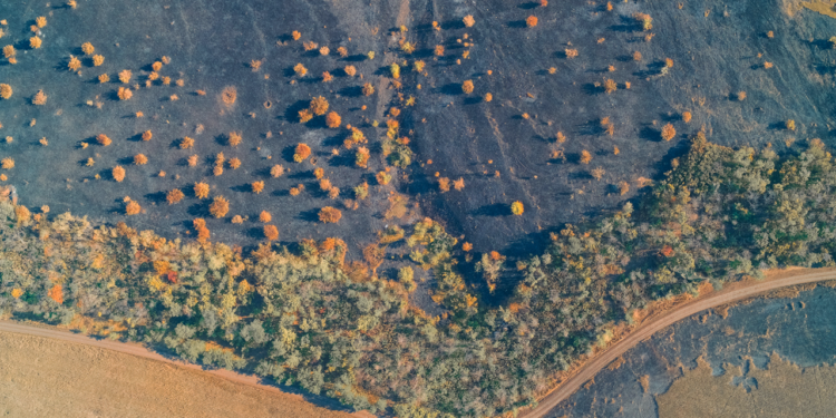 Dünya Meteoroloji Örgütü Uyardı: Sıcaklık Eşiği Aşıldı, 1 Milyar İnsan İçin Hayat Daralıyor