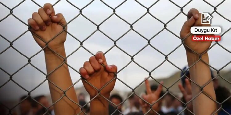 Koruma yok, ceza var: Komisyon hangi yolu seçecek?