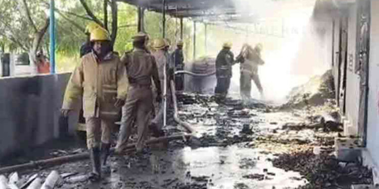 Hindistan'da Havai Fişek Fabrikasındaki Patlamada 23 Ölü