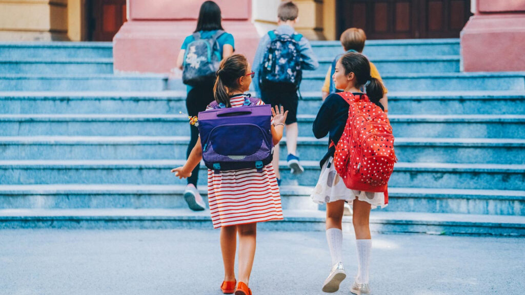 Okullarda Güvenlik Sistemi Sil Baştan Değişiyor: Artık Hepsinde Zorunlu Olacak