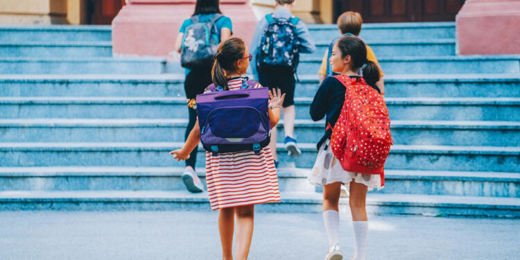 Okullarda Güvenlik Sistemi Sil Baştan Değişiyor: Artık Hepsinde Zorunlu Olacak